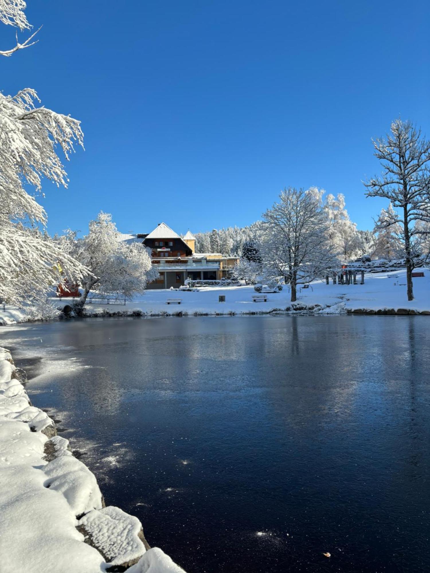 Landhaus Lauble Hornberg Zewnętrze zdjęcie